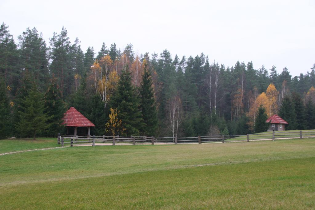 Gasthaus Miskiniskes Ignalina Exterior foto