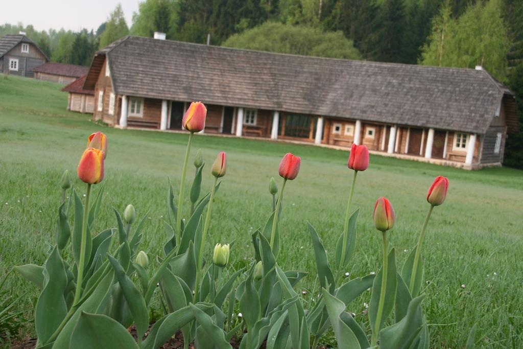 Gasthaus Miskiniskes Ignalina Exterior foto